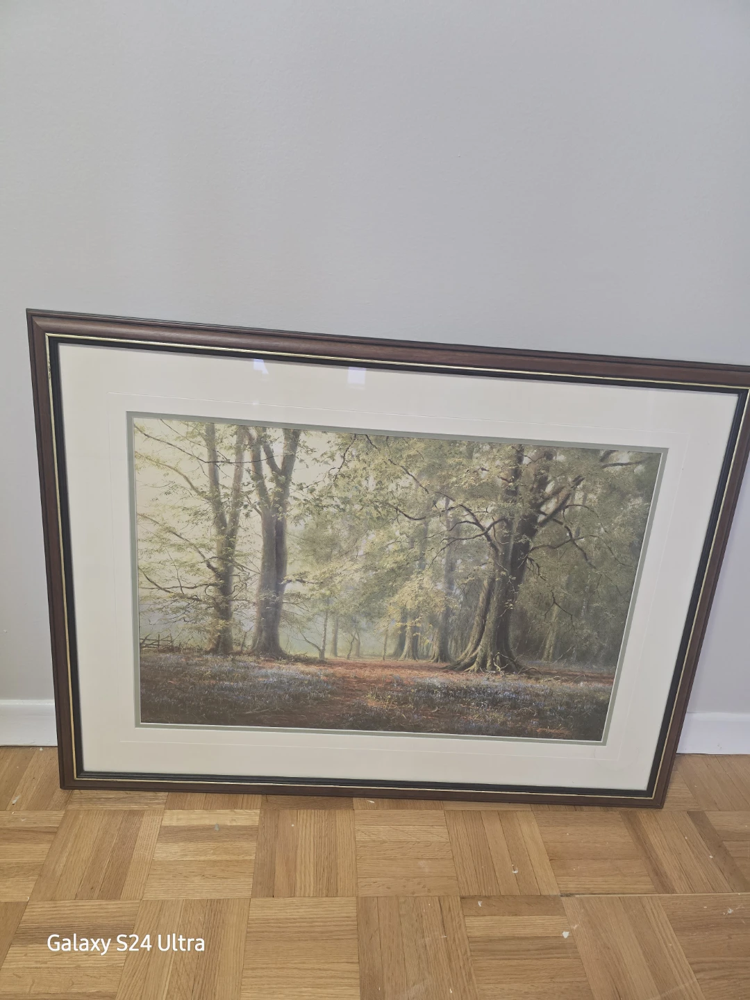 Framed Forest Print David Dipnall