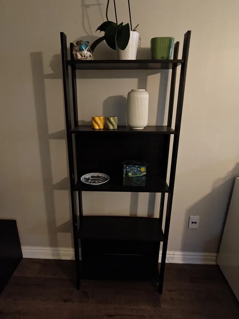 Black Ladder Ikea Shelf