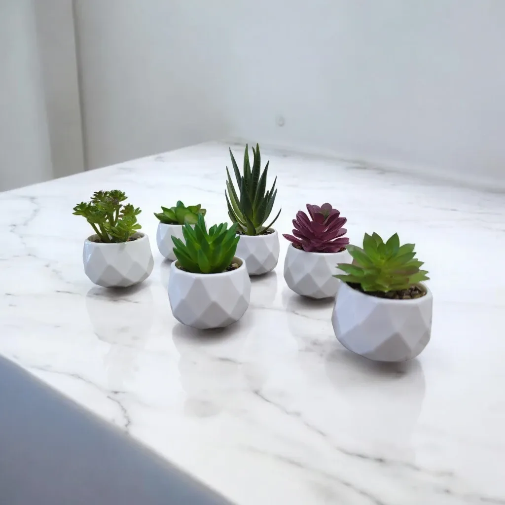 Small Artificial Succulent Plants in White Pots image indicator(3)