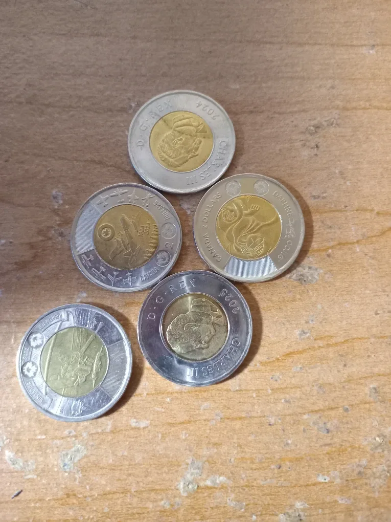 Special Canadian Toonies