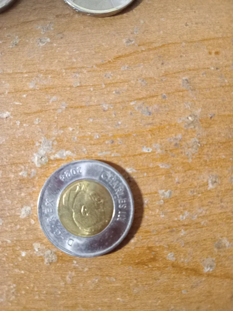 Special Canadian Toonies image indicator(2)
