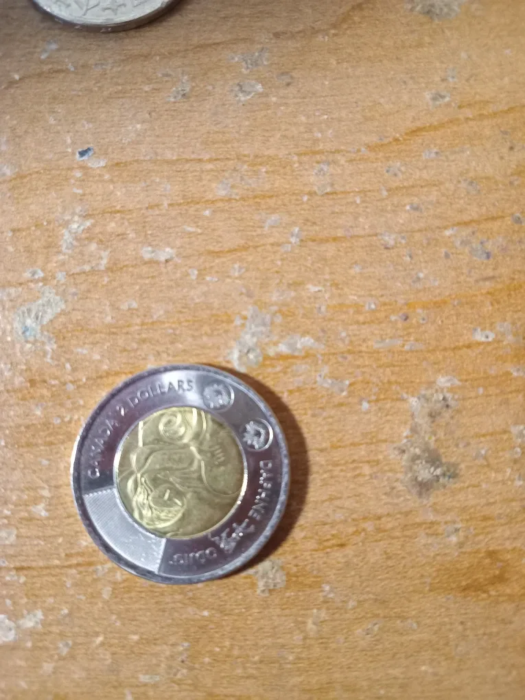 Special Canadian Toonies image indicator(5)