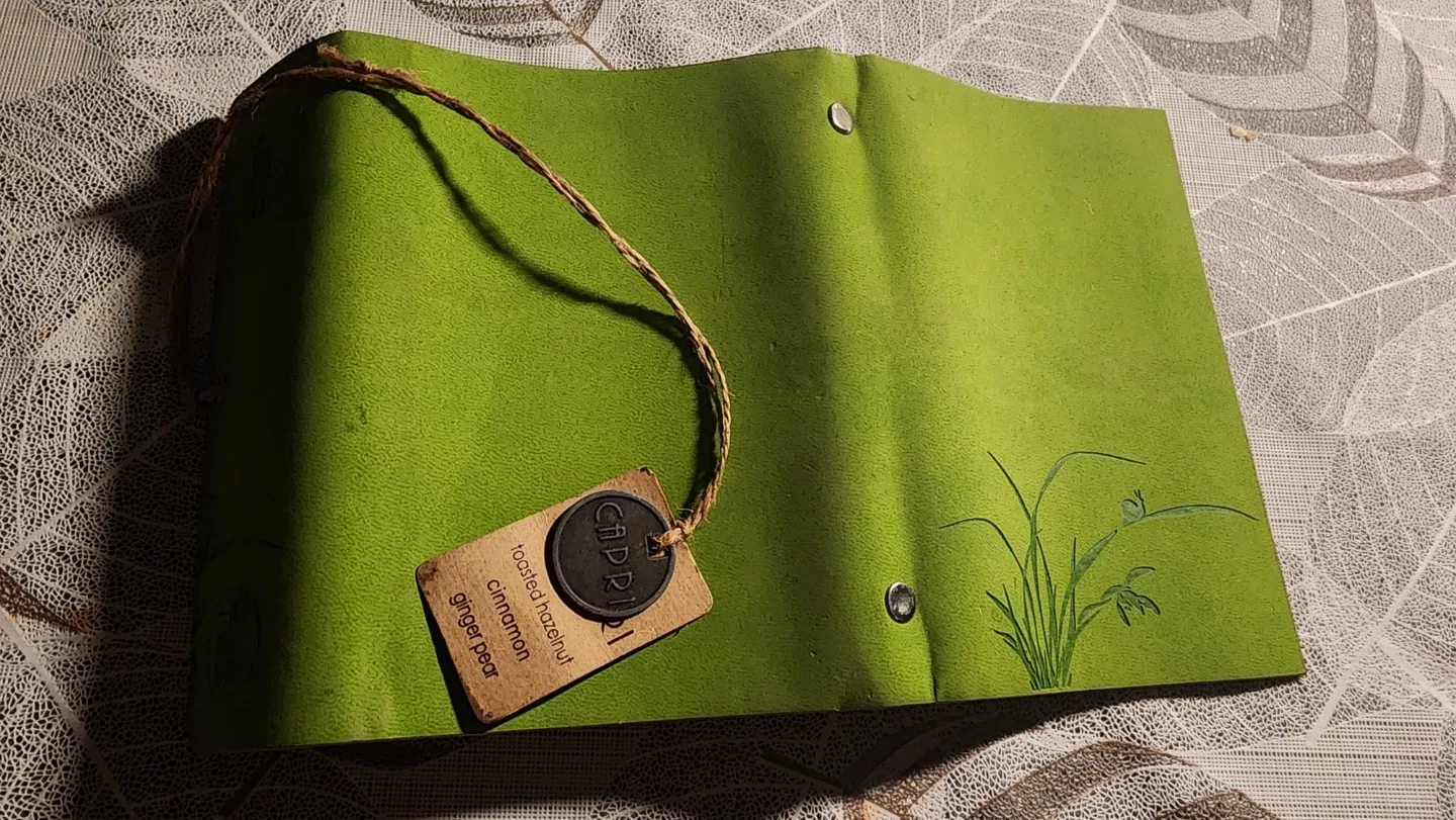 Green suede notebook image indicator(2)