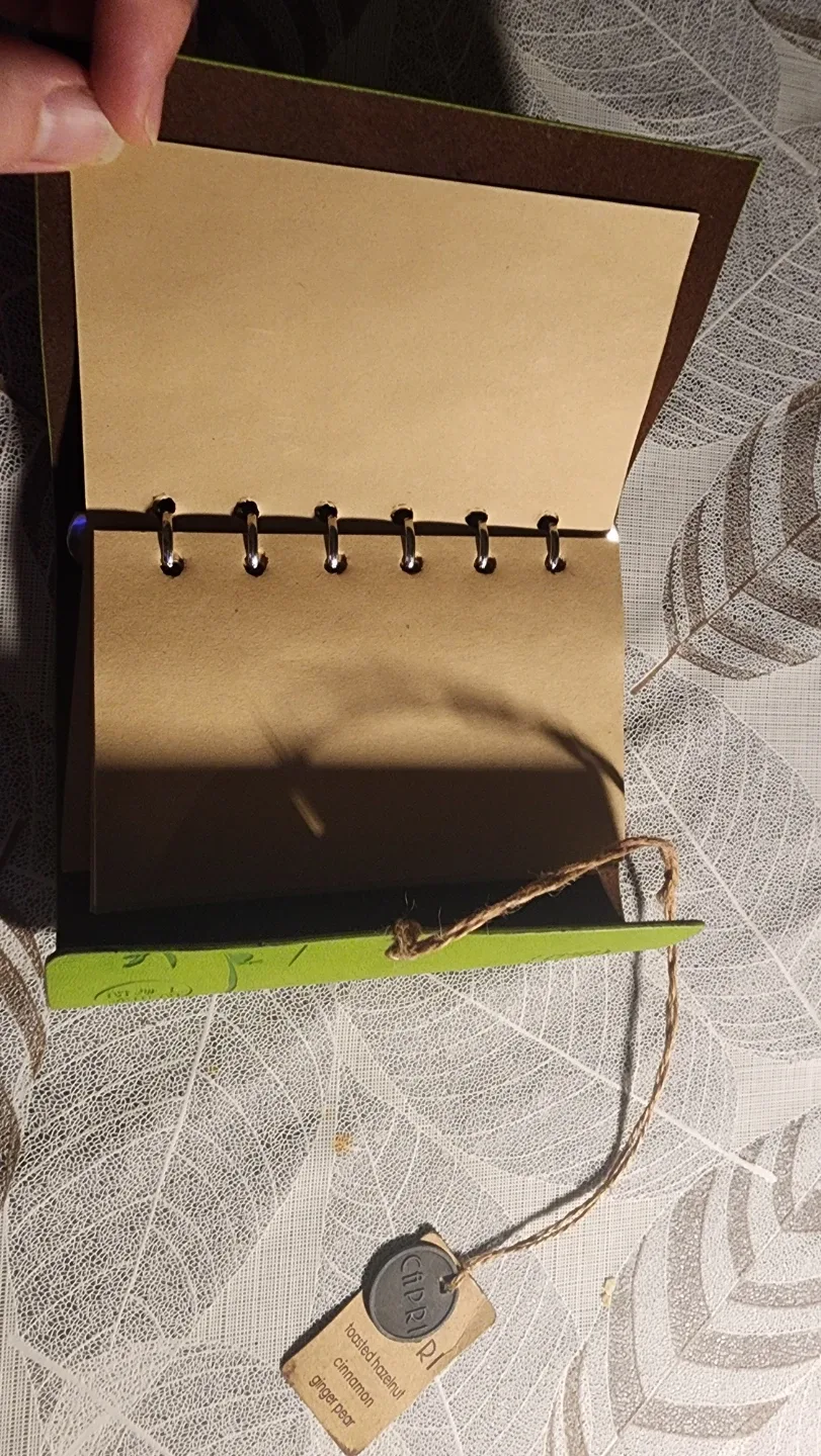 Green suede notebook image indicator(3)