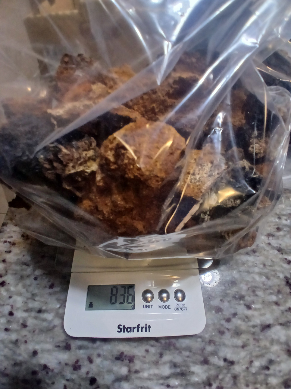 Chaga Mushroom Pieces - Wild Harvested - photo 3
