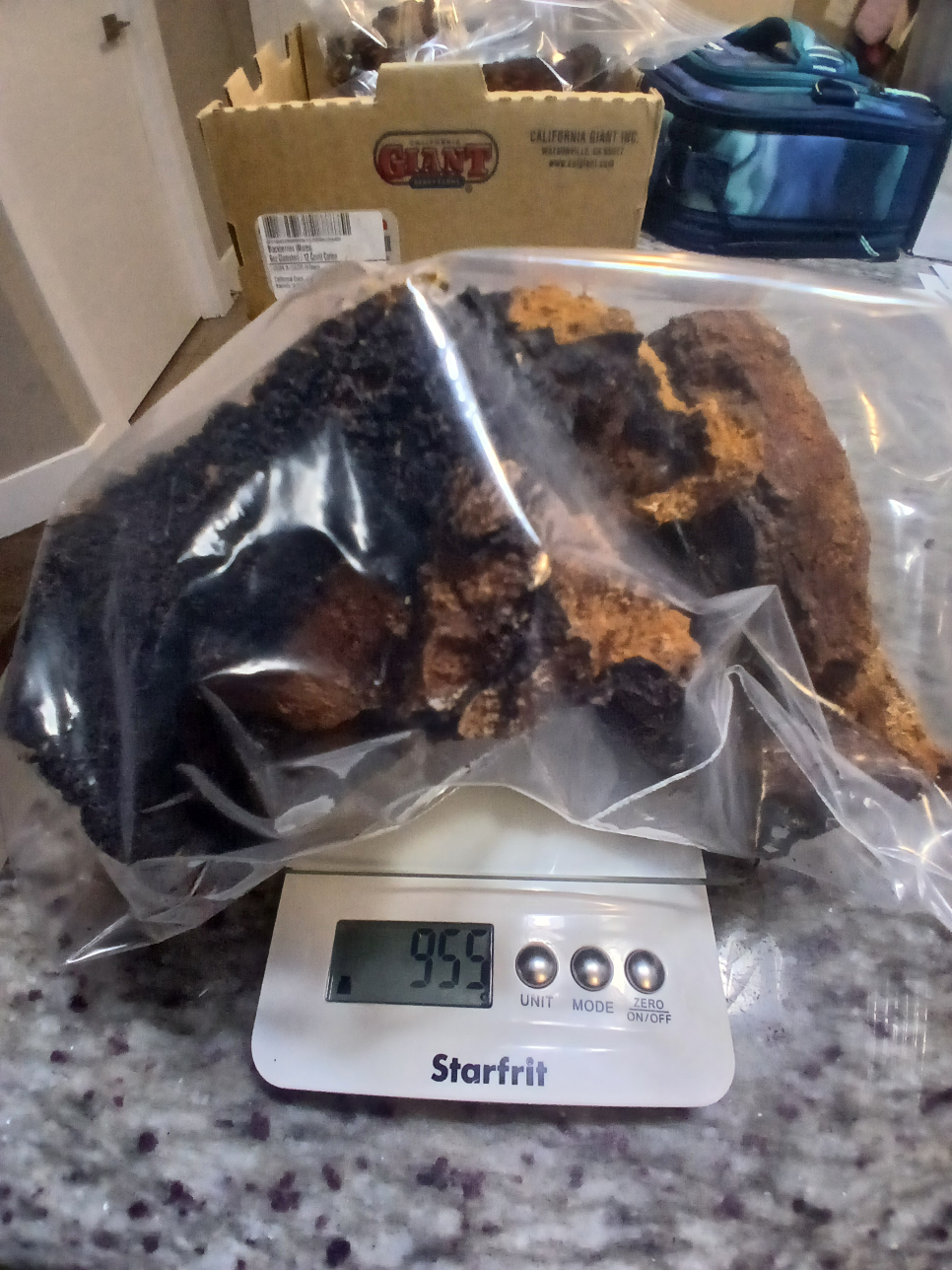 Chaga Mushroom Pieces - Wild Harvested - photo 4