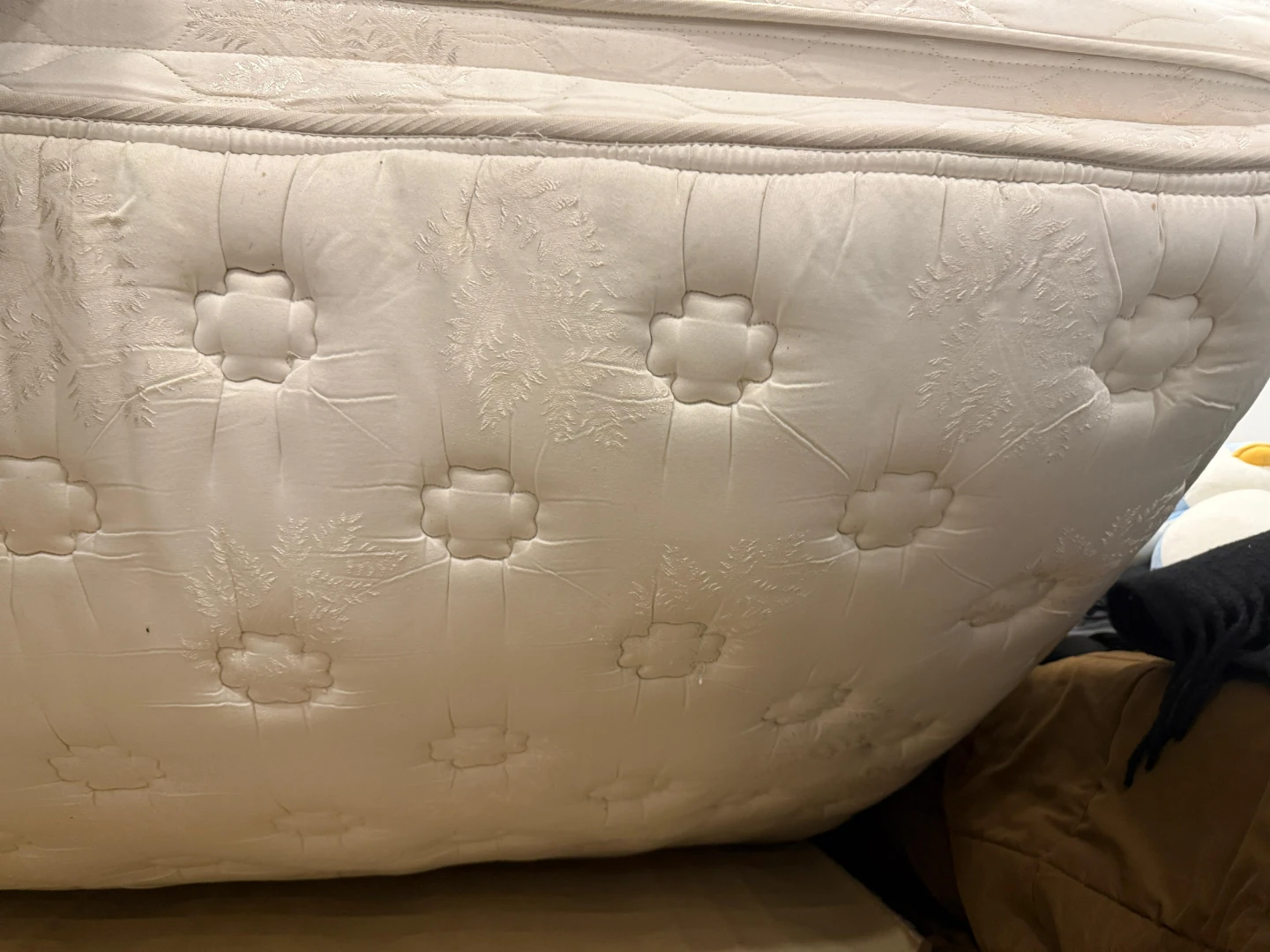 Free Queen Size very soft mattress and mattress box - photo 3