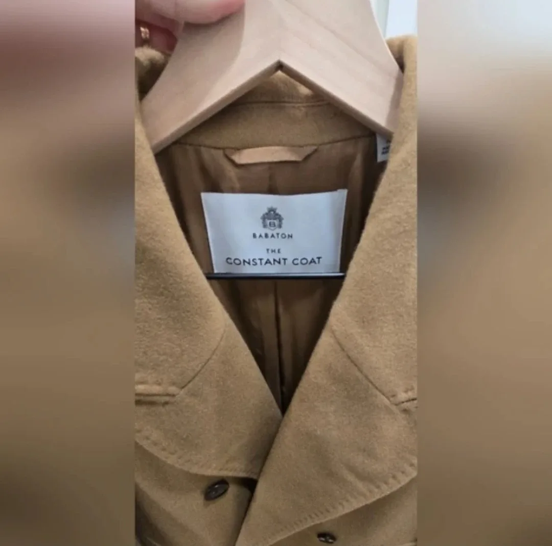 Aritzia Babaton The Constant Coat - Virgin Wool image indicator(9)