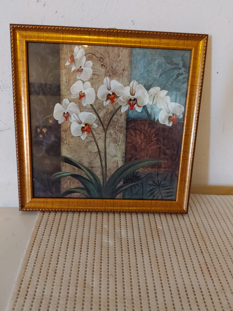 Floral Print in Gold Coloured Frame