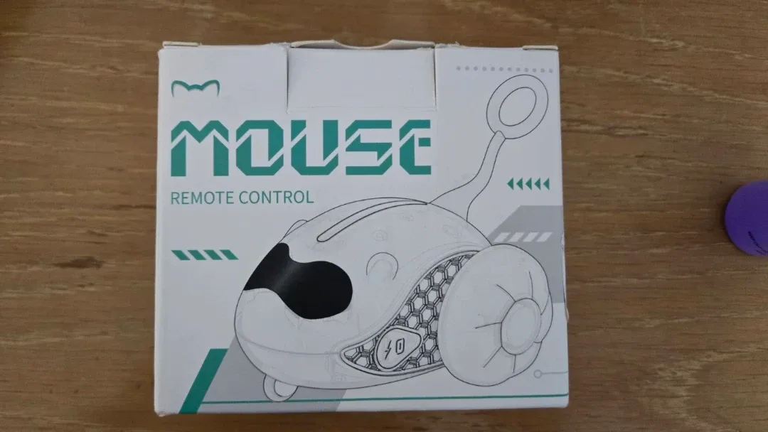 Remote Control Mouse Toy