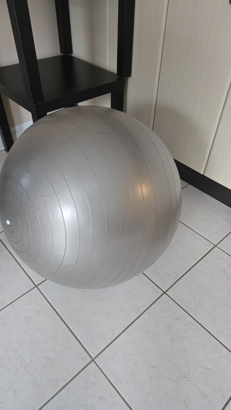 Sunny Health & Fitness Exercise Ball