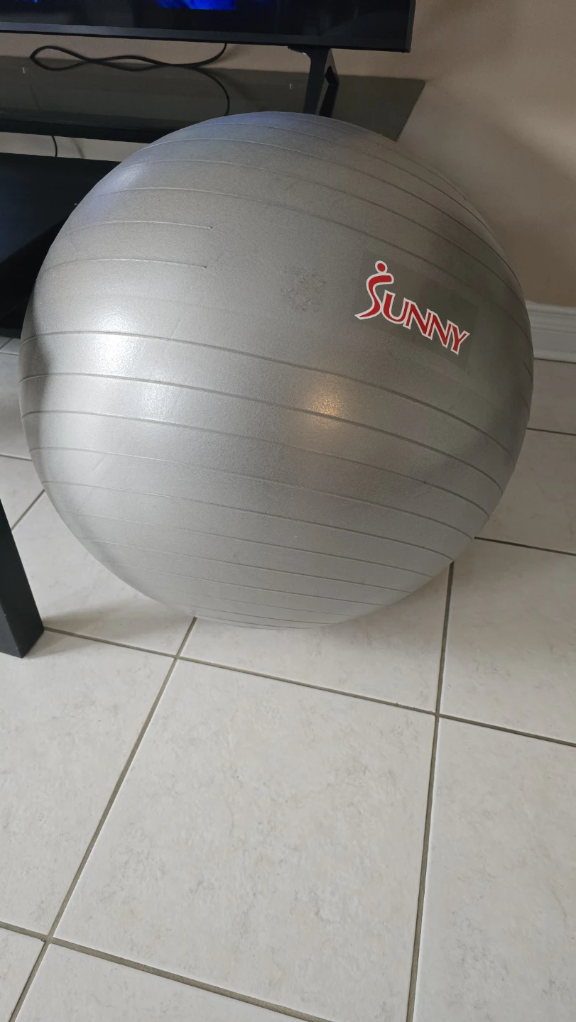 Sunny Health & Fitness Exercise Ball - photo 3