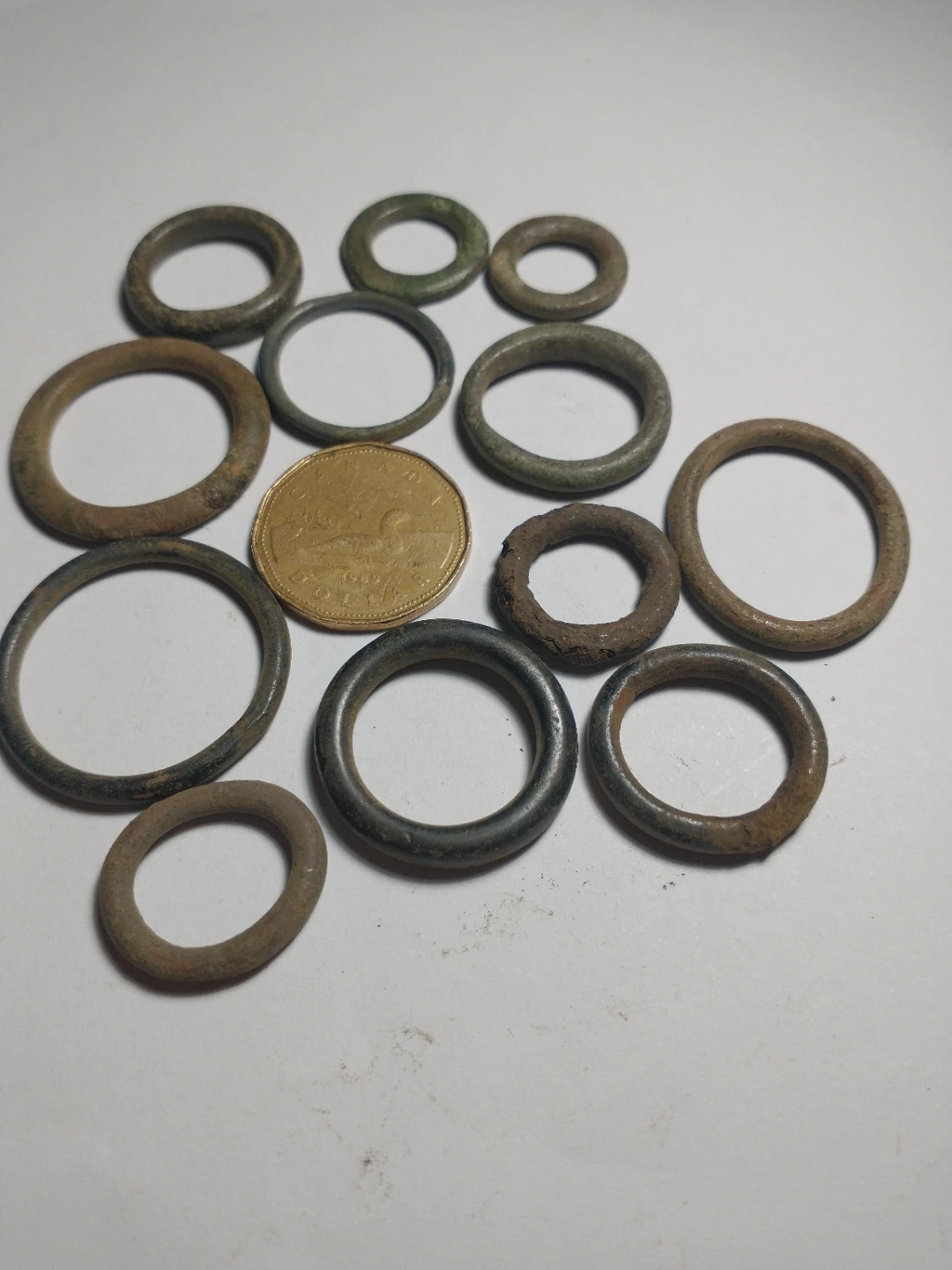 Neat 12 medieval rings (equine-related)