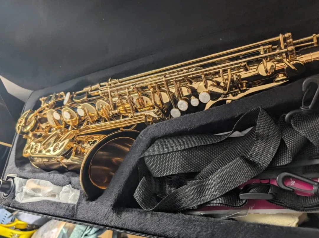 Brand New Glory Professional Gold Lacquer Alto Saxophone image indicator(3)