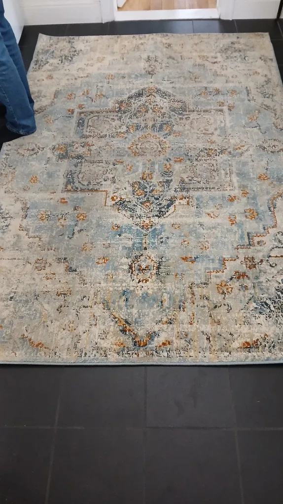 Patterned Area Rug - Blue/Beige image indicator(3)