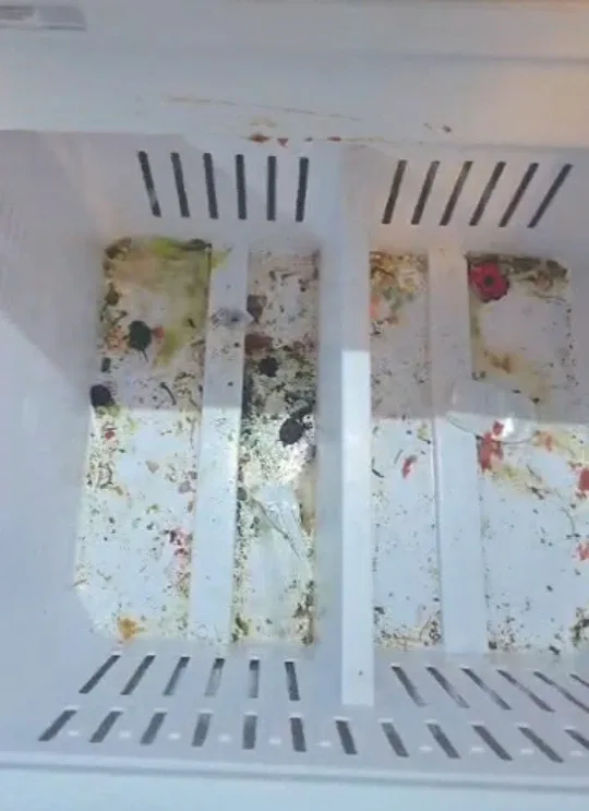 Cleaning image indicator(2)