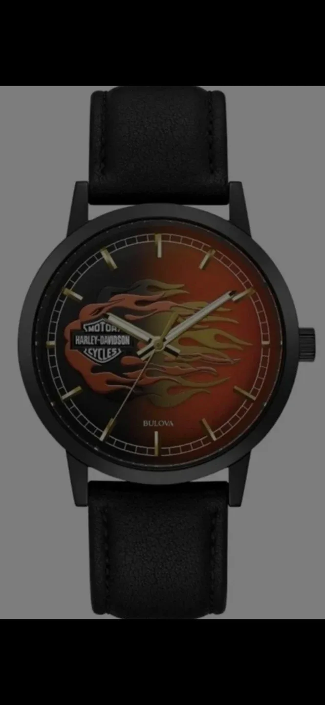 Brand new Original Mens and womens Harley-Davidson Bulova Watch image indicator(2)