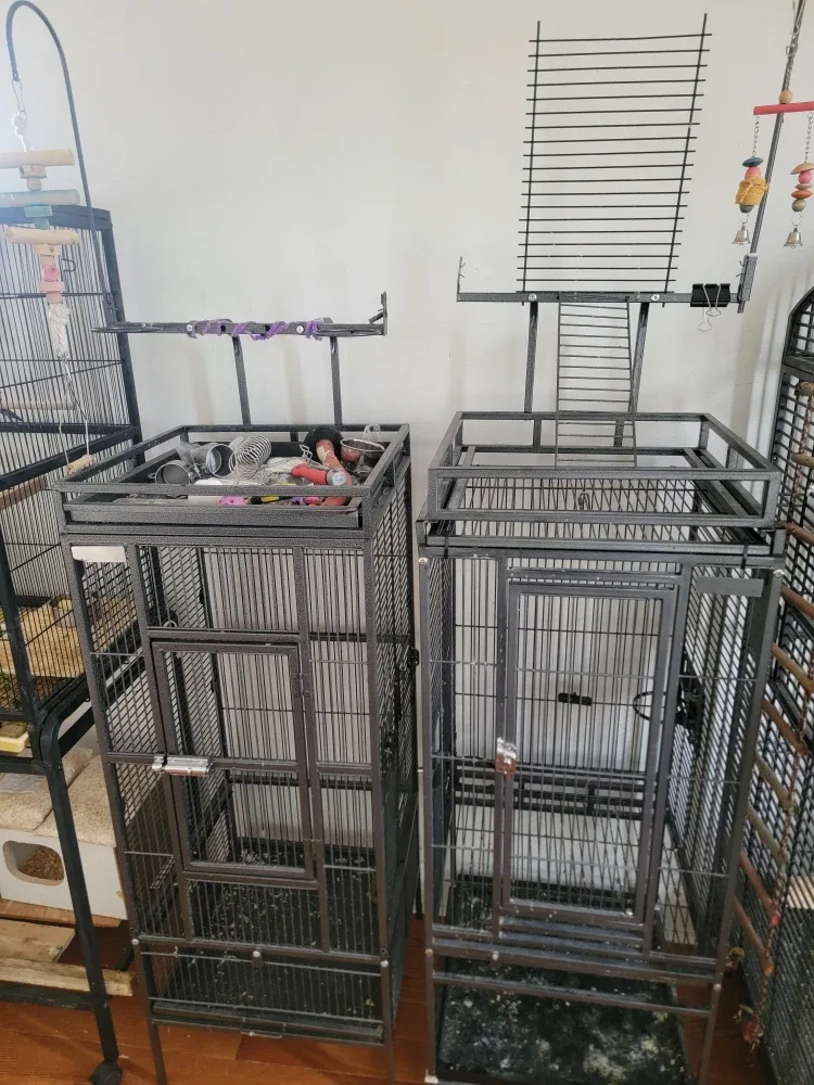 Large Black Bird Cage - 31"x19"x52"