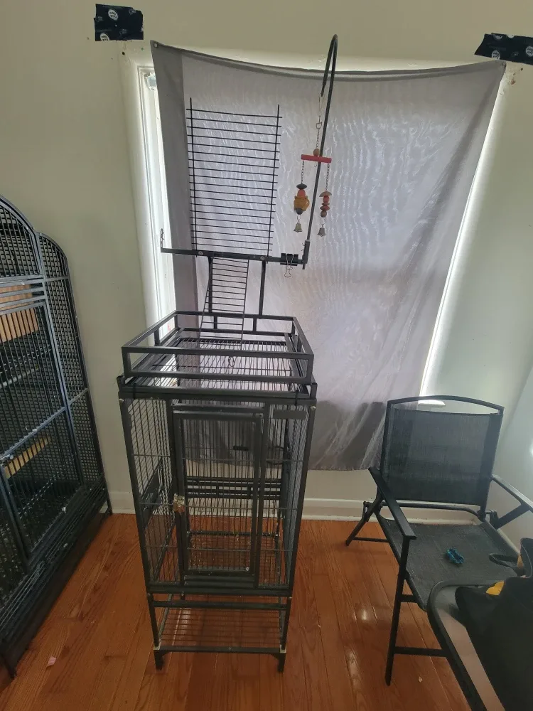 Large Black Bird Cage - 31"x19"x52" image indicator(6)