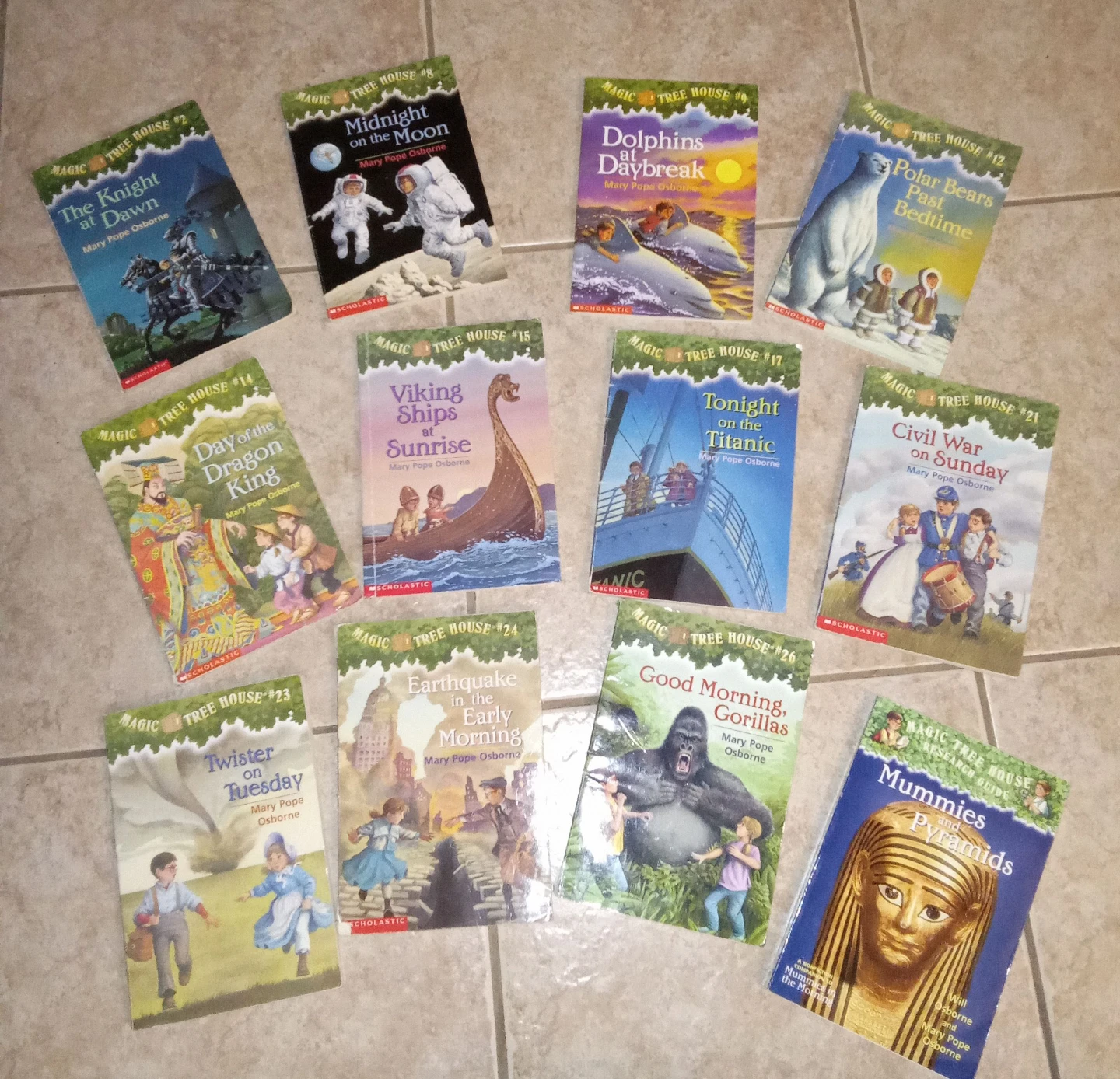 Magic Tree House Book Lot