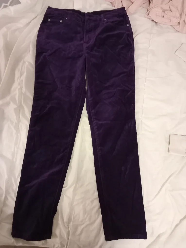 Diane Gilman DG2 Velvet Pants - Size 10