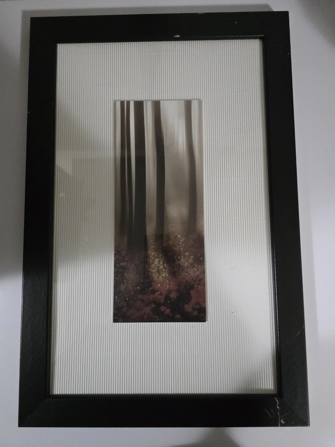 Framed Butterfly  forest Art Prints