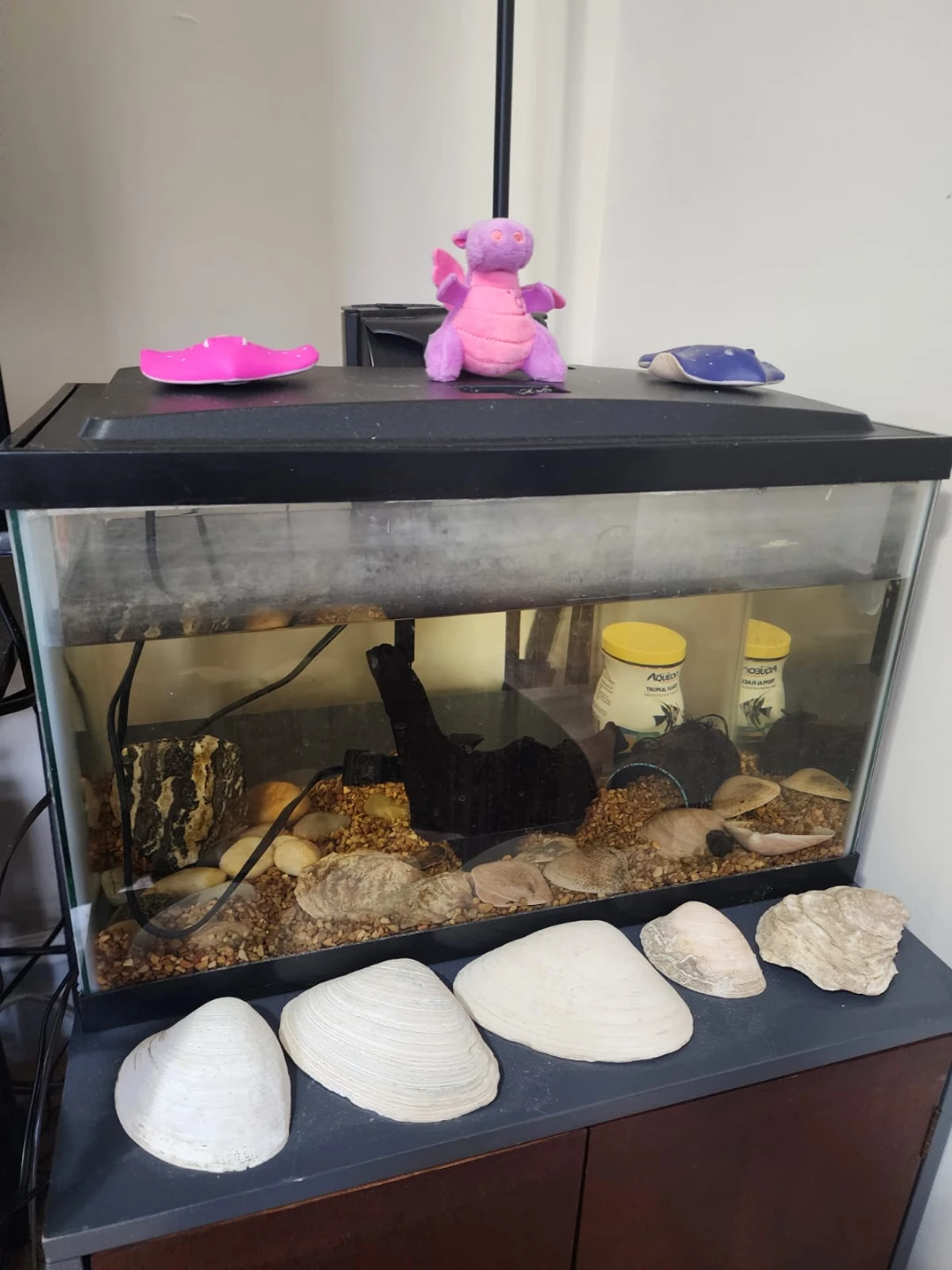 Used Fish Tank Aquarium - 40 L