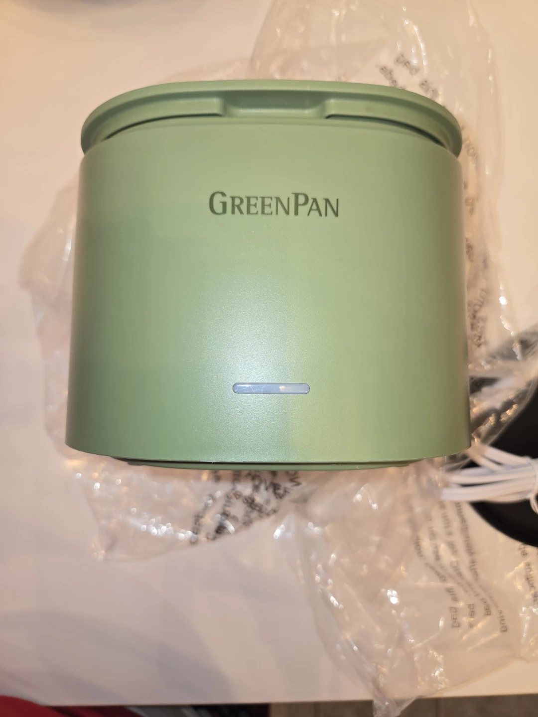 1 Brand New Electric Lunch Box (Sage Green)