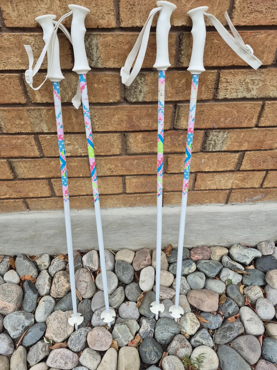 Tecno Pro Ski Poles - Set of Two