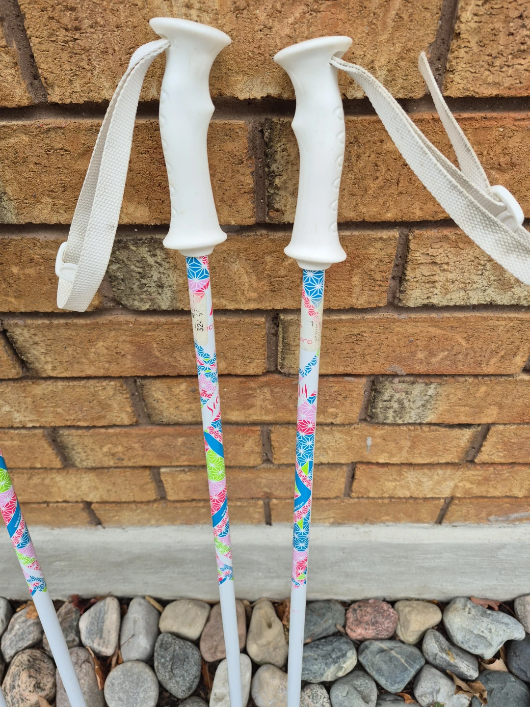 Tecno Pro Ski Poles - Set of Two - photo 4