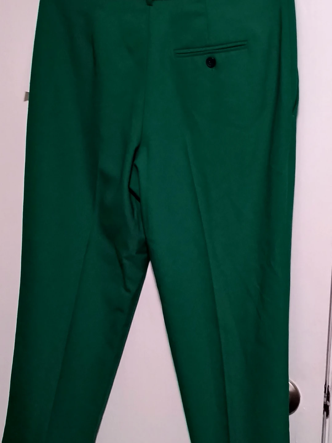 New Hudson North Green Pants - Size 10
