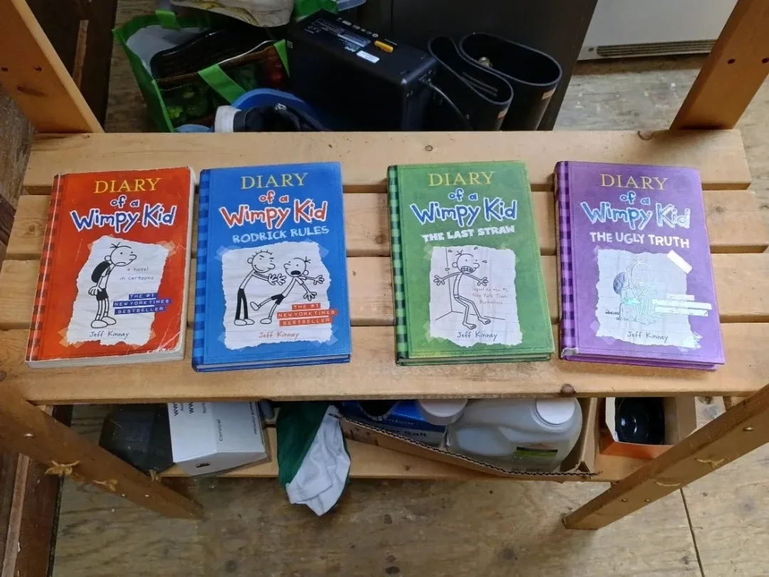 Diary of a Wimpy Kid Book Series by Jeff Kinney