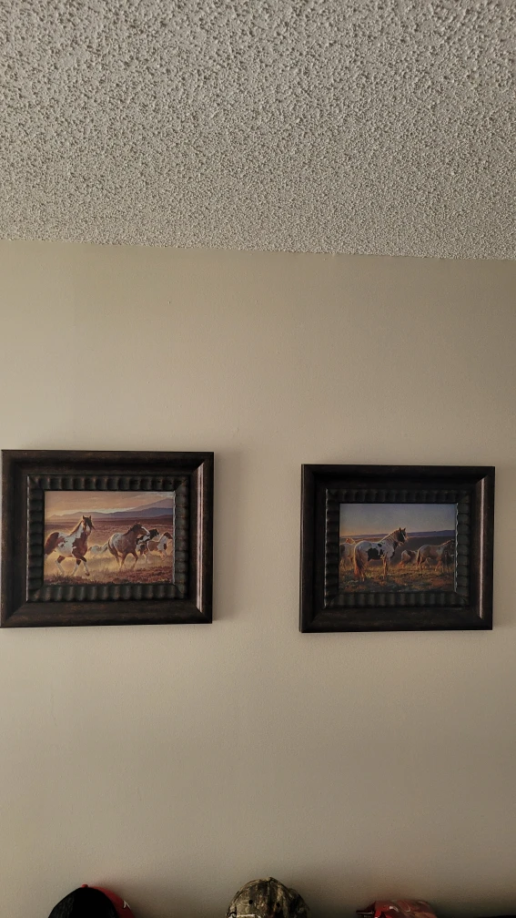 Framed Horse Art Prints - Set of 2  for both 15$