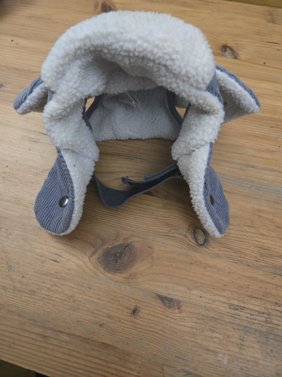Dog winter hat