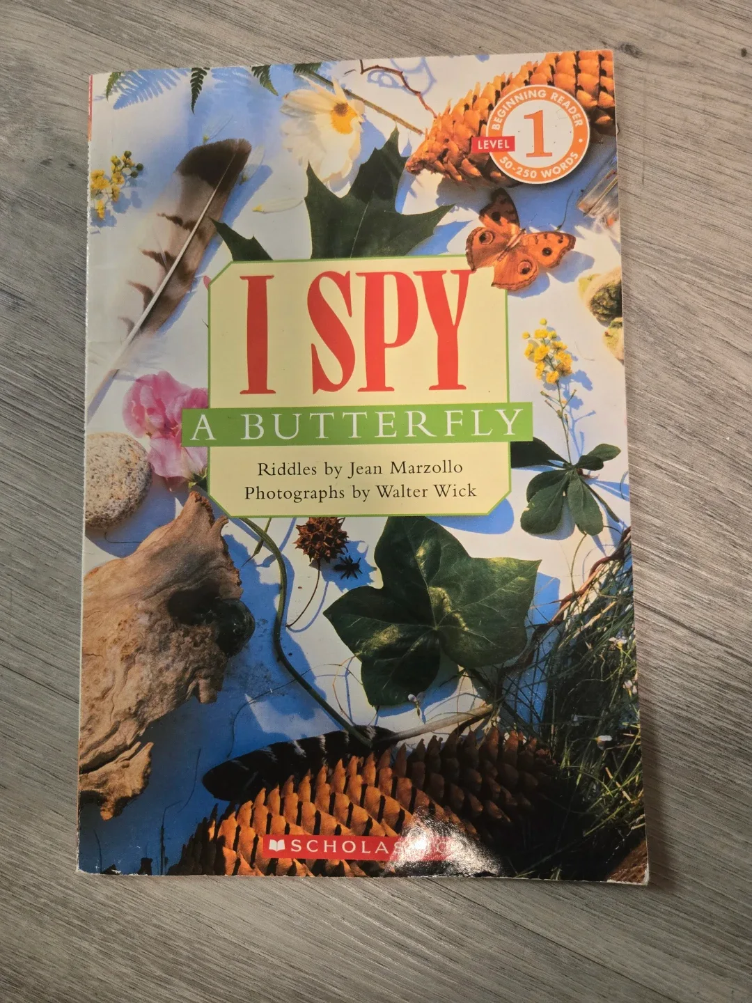 I Spy A Butterfly Book