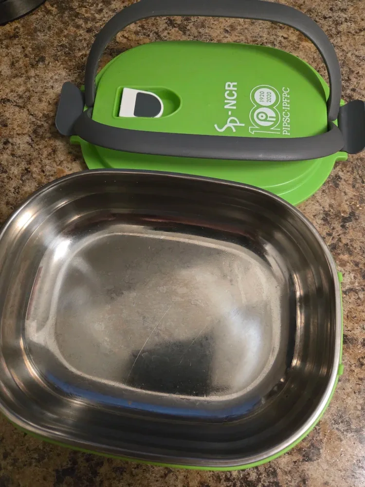 Green Stainless Steel Lunch Box #Cleanout