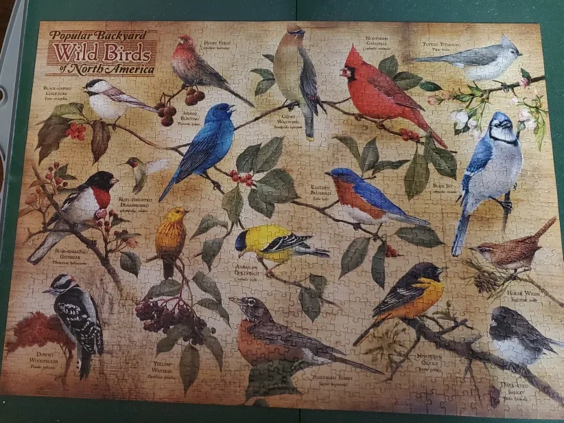 Cobble Hill 1000+ Piece Wild Birds Puzzle #cleanout image indicator(2)