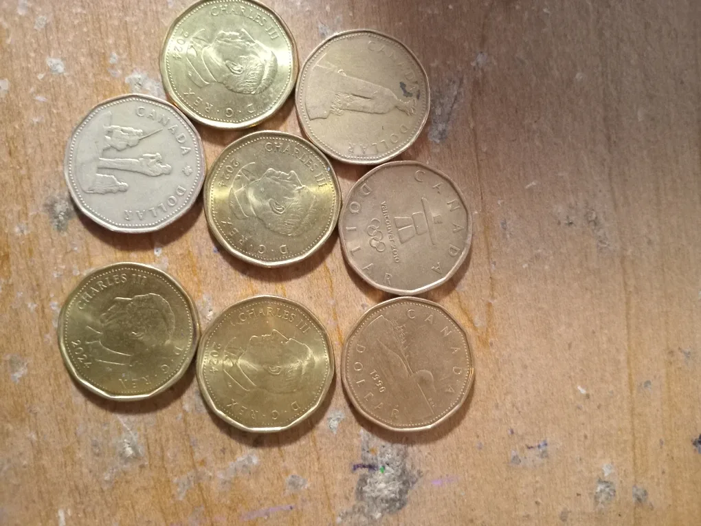 Canadian Loonies $1 Coins