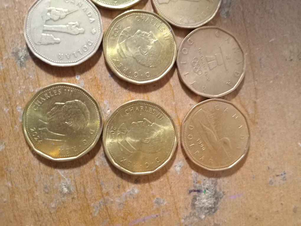 Canadian Loonies $1 Coins image indicator(2)