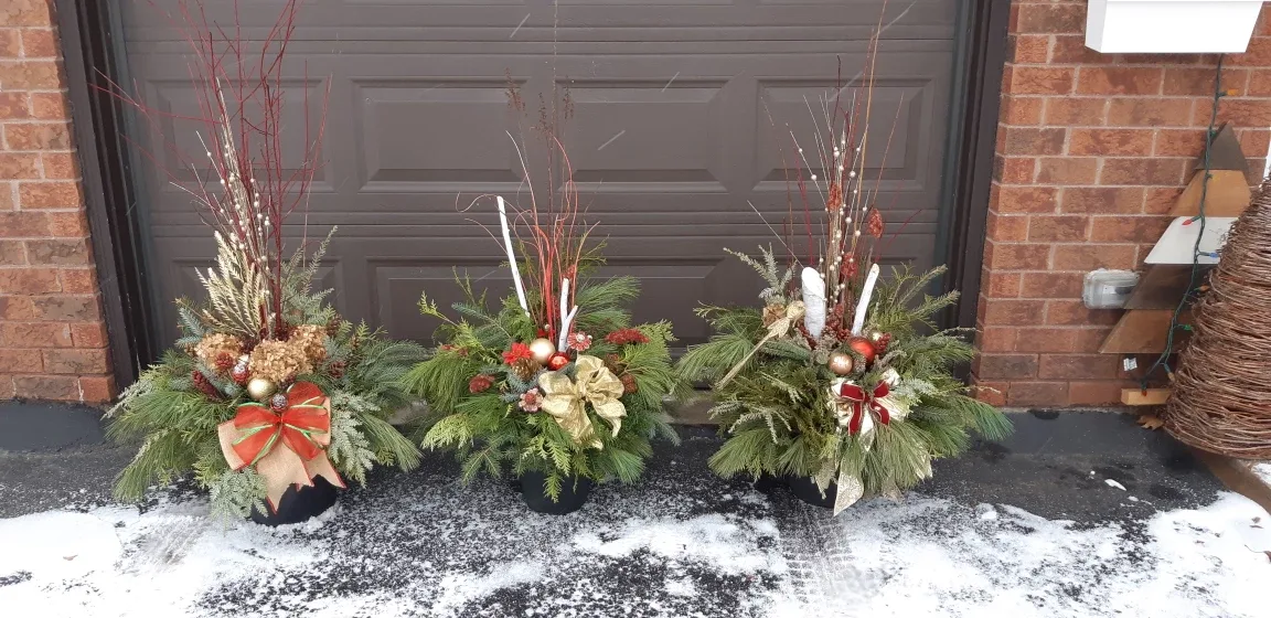 🤩Weekend sale!! Winter Planters image indicator(6)