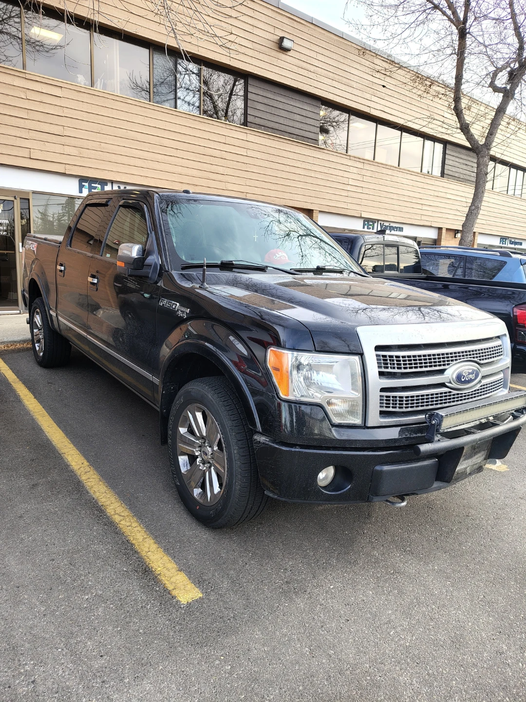 2010 Ford F-150 "Platinum" - photo 3