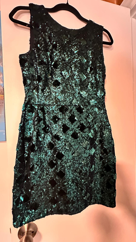 Sequin Sleeveless Dress - Green & Black - photo 2