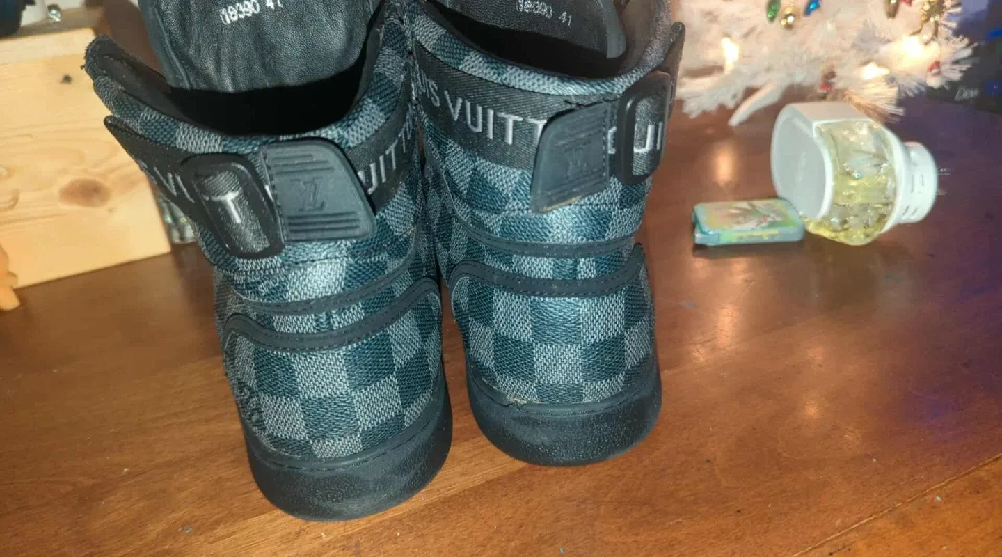 Louis Vuitton High-Top Sneakers image indicator(4)