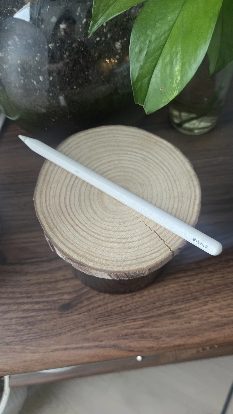 Apple Pencil