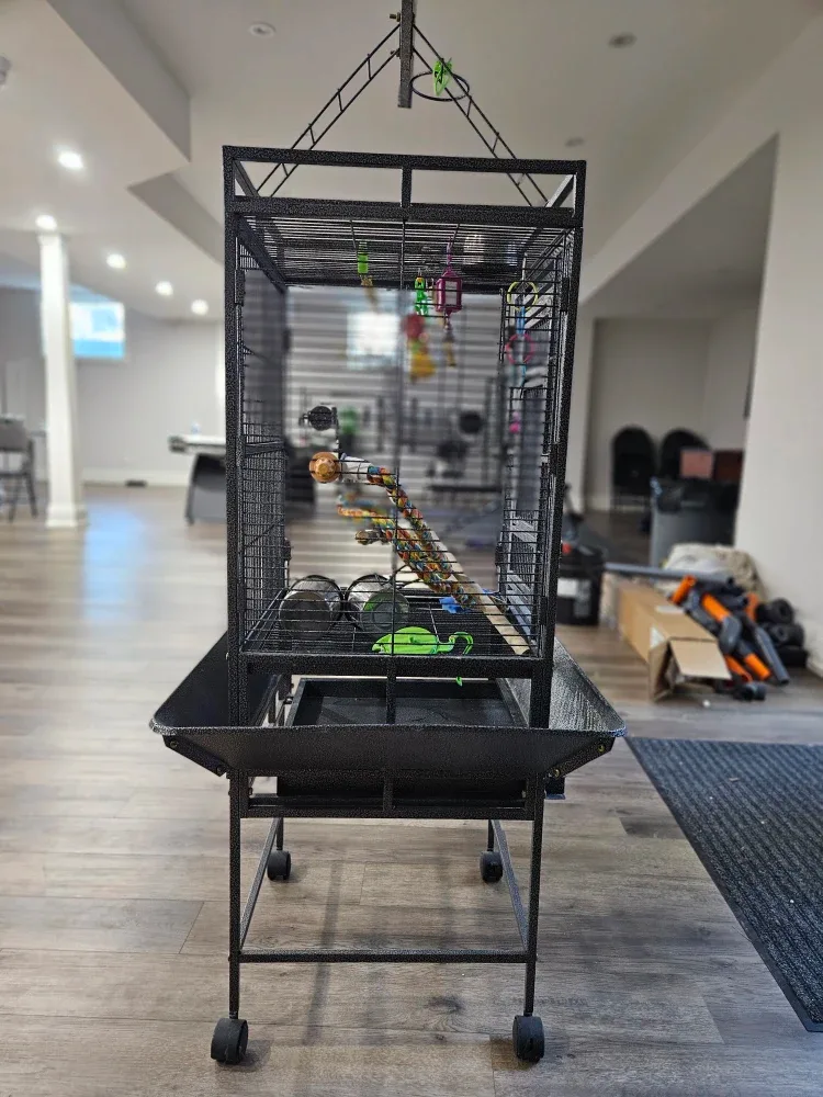 Large Bird Cage