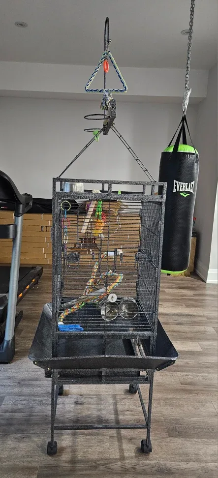 Large Bird Cage image indicator(2)