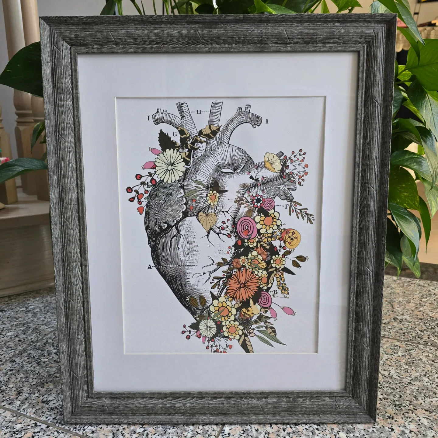 Floral Heart Framed Print