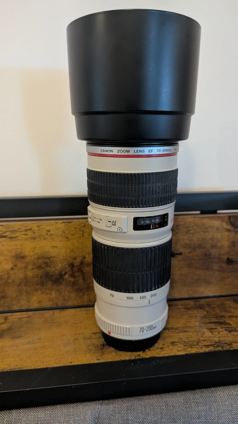 Canon Zoom Lens EF 70-200mm f/4 L USM