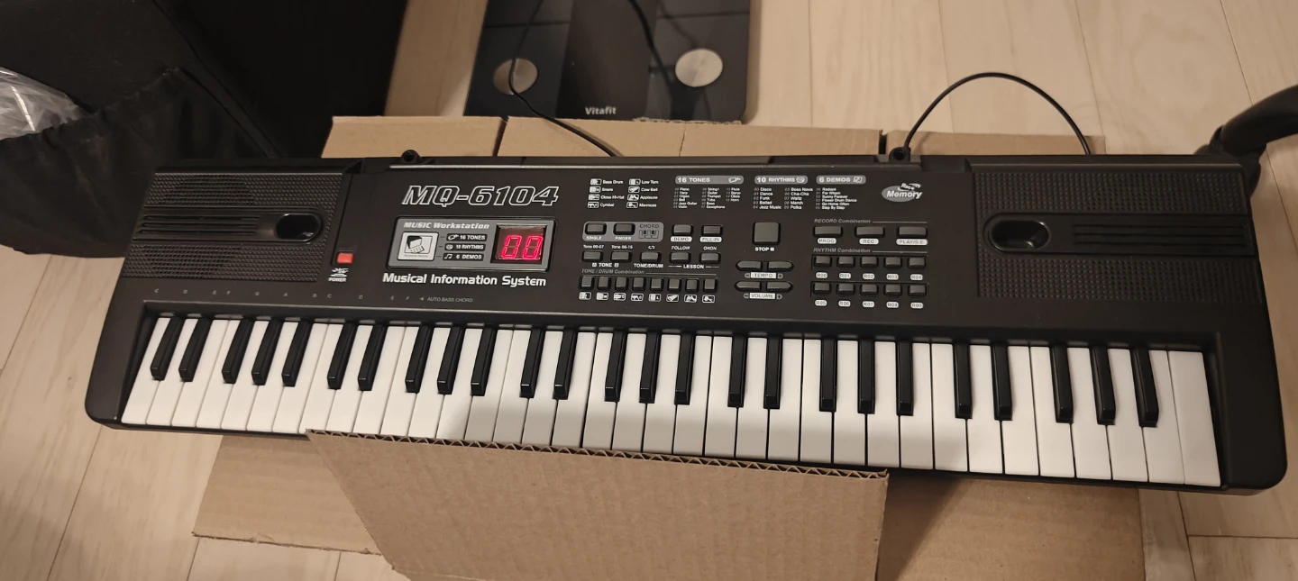 Electronic Keyboard with Microphone (61 keys)