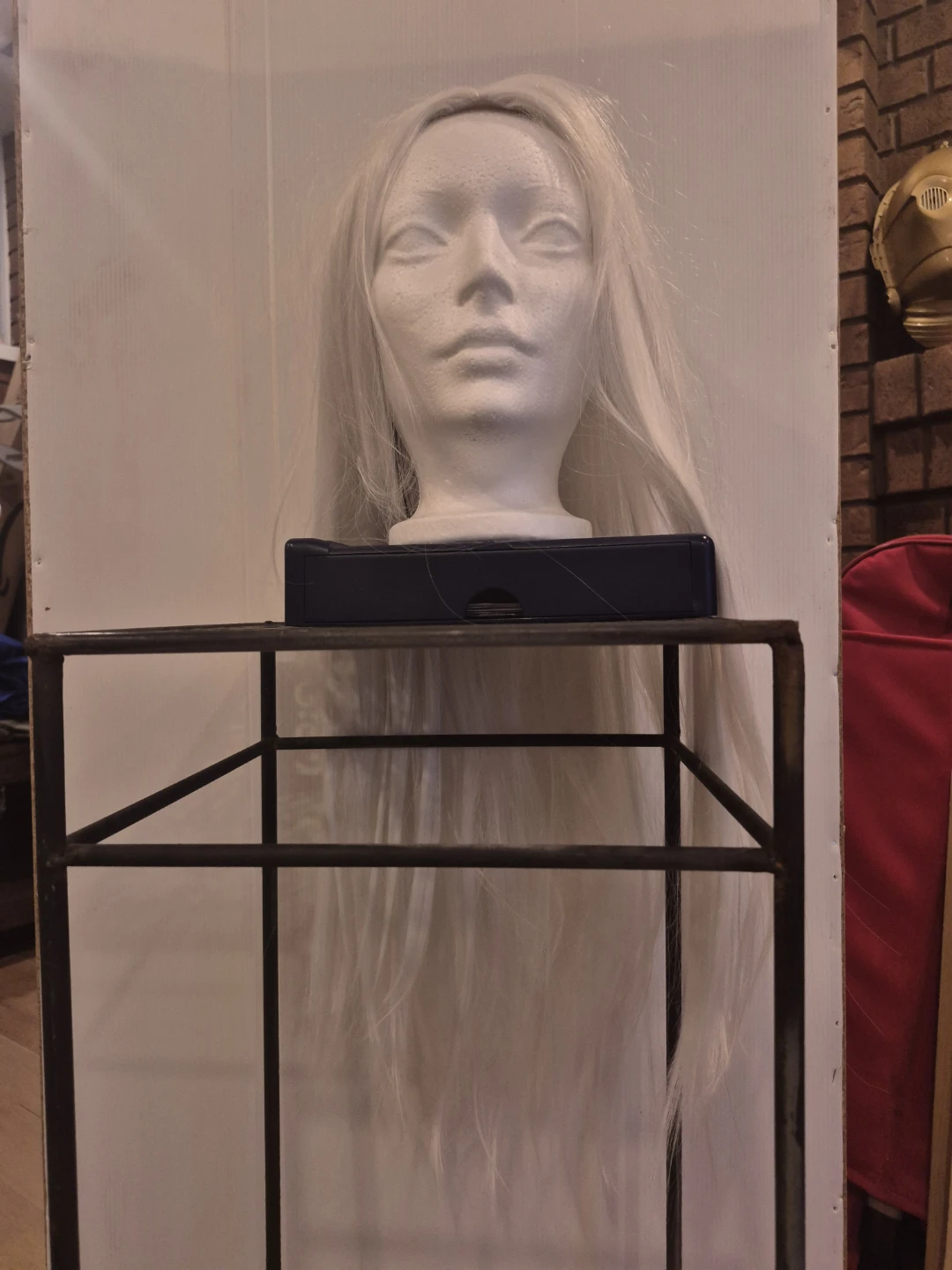 Long White Wig